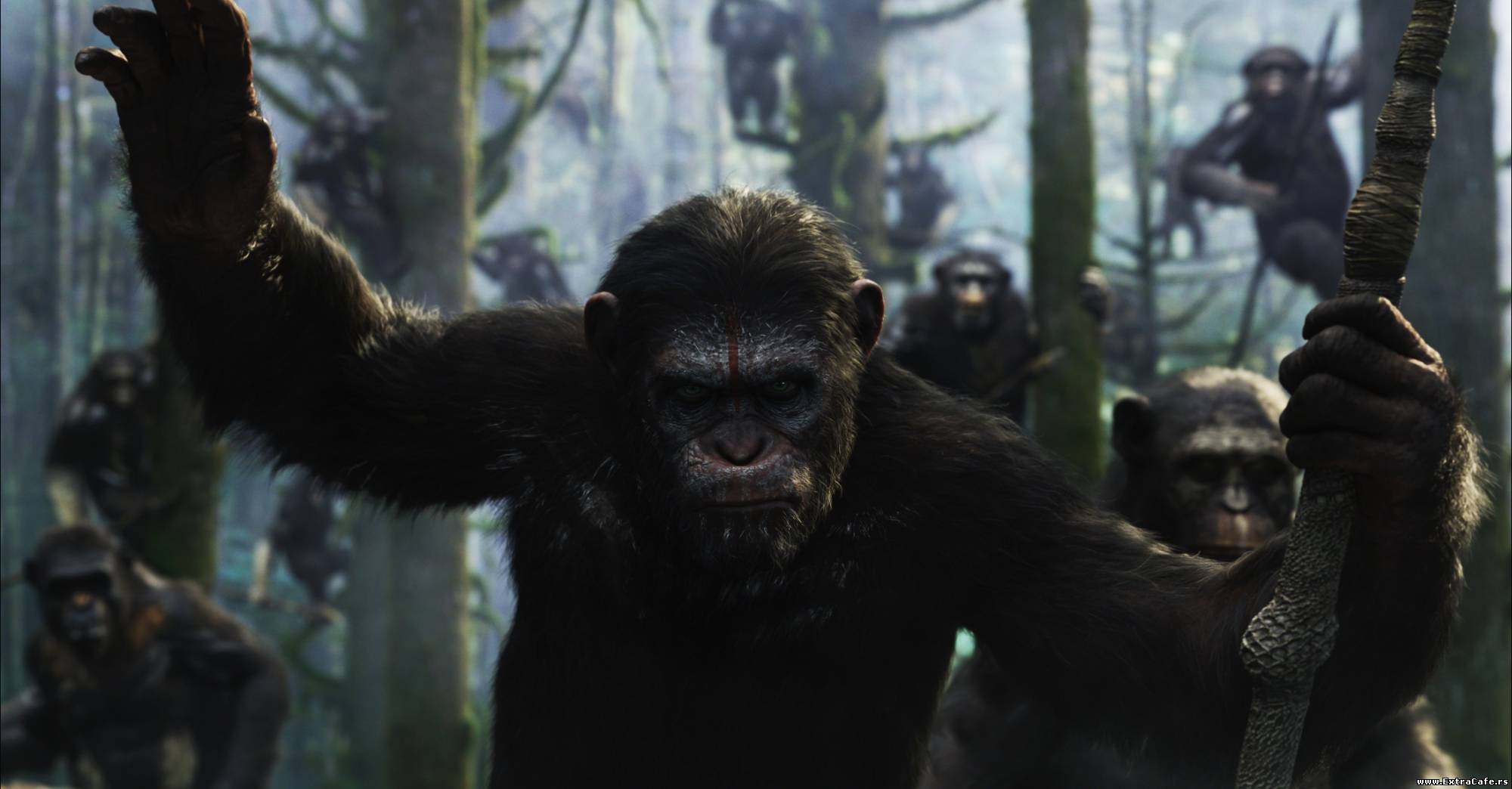 Slike iz Dawn of the Planet of the Apes (2014)